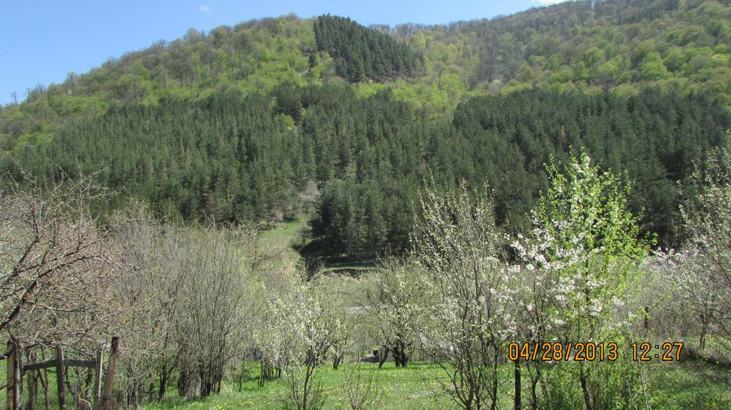 Dilijan Duplex Vila Exterior foto